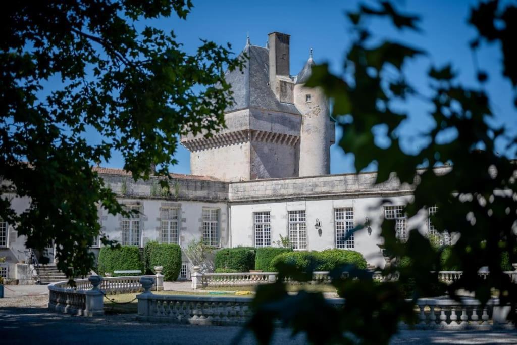Chateau De Mornay Saint-Pierre-de-l'Isle Exterior foto